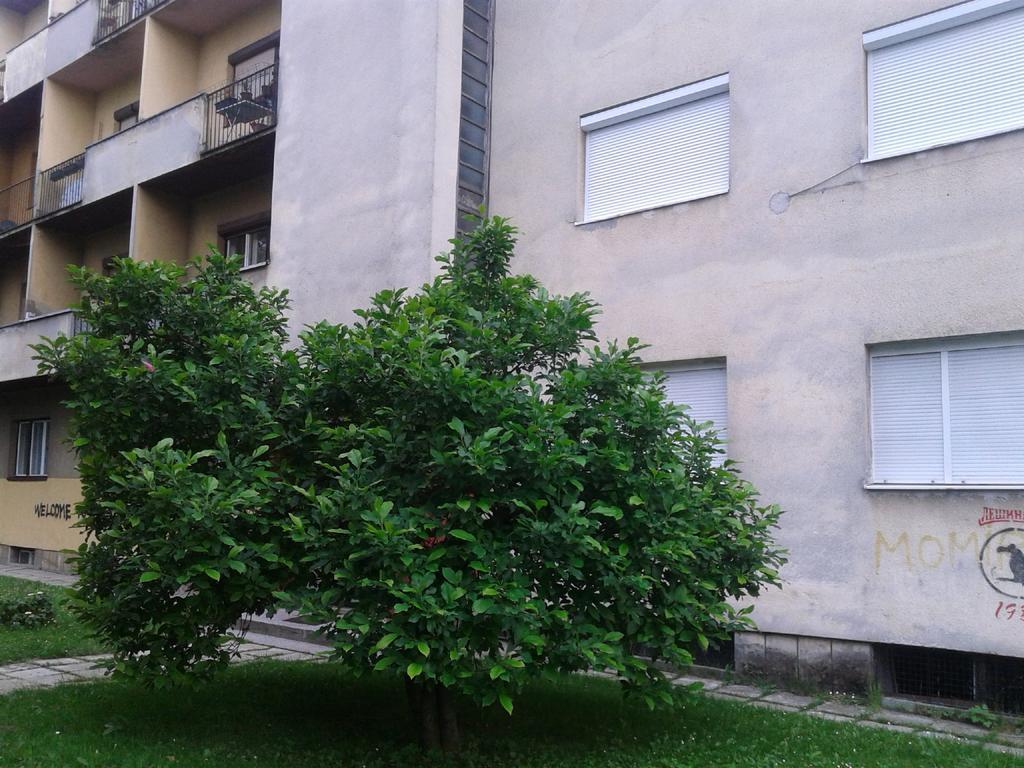 Apartment Ma 2 , 3 Rd Floor Banja Luka Buitenkant foto